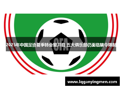 2025年中国足协夏季转会窗开启 五大俱乐部仍面临禁令限制 2025年中国足协夏季转会窗开启 五大俱乐部仍面临禁令限制